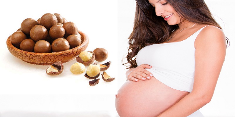 hat macadamia co thuc su la nu hoang cua cac loai hat 02